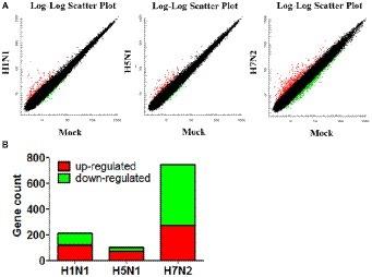 Genomic and Bioinformatic Characterization of Mouse Mast Cells (P815) Upon Different Influenza A Virus (H1N1, H5N1, and H7N2) Infections